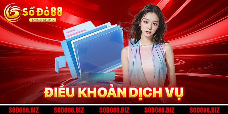 Điều Khoản Dịch Vụ